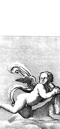 Rückseite von bh419112x