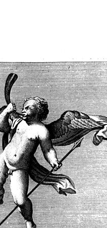 Rückseite von bh419113x