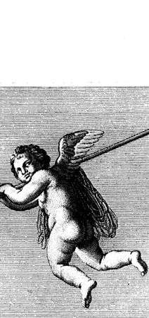 Rückseite von bh419114x