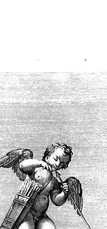 Rückseite von bh419127x