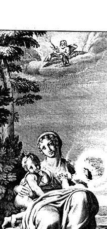 Rückseite von bh419153x