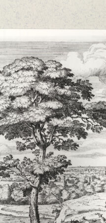 Rückseite von Bibliotheca Hertziana [http://creativecommons.org/publicdomain/mark/1.0/] Villa Aldobrandina Tusculana sive Varij illius hortorum et fontium prospectusTav. 19: Merkur stiehlt die Herde, die Apollo hütet - , bh422118. Foto.