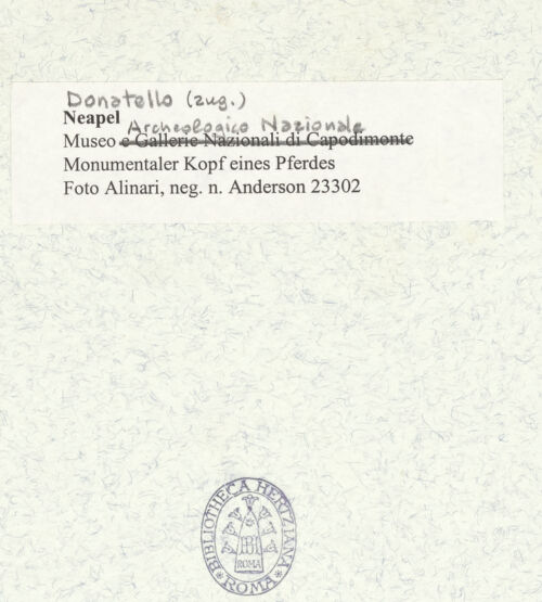 Rückseite von Alinari [https://www.deutsche-digitale-bibliothek.de/content/lizenzen/rv-ez/] Monumentaler Kopf eines Pferdes (sog. Testa Carafa) - Profil, bh424351_recto. Foto.