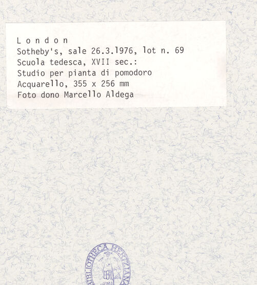 Rückseite von bh427159_recto