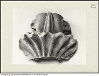 Thumbnail des 11. Ordners