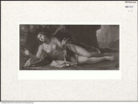 Thumbnail des 11. Ordners