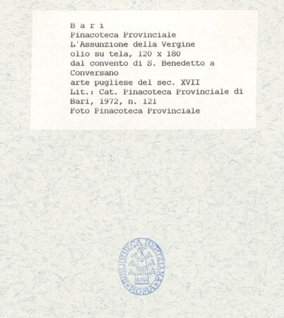 Rückseite von bh429453_recto