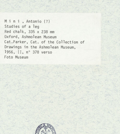 Rückseite von bh430124_recto