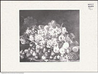 Thumbnail des vierten Ordners