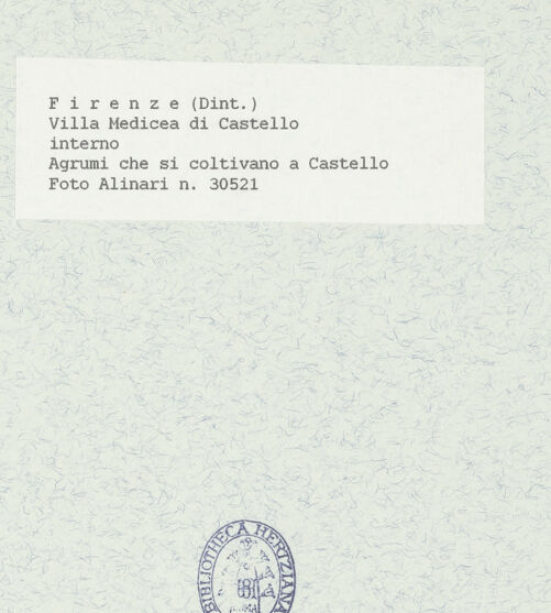 Rückseite von bh433177_recto