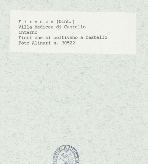 Rückseite von bh433178_recto