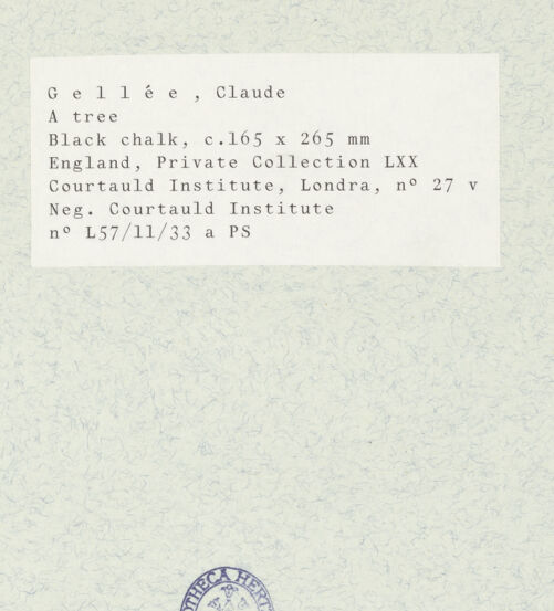 Rückseite von bh435476_recto