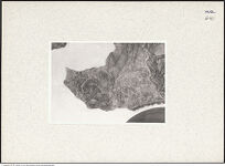 Thumbnail des ersten Ordners