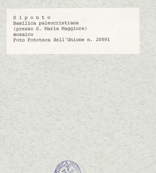 Rückseite von Fototeca dell'Unione Internazionale presso l'American Academy in Rome [https://www.deutsche-digitale-bibliothek.de/content/lizenzen/rv-ez/] Fußbodenmosaik - Gesamtansicht, bh436728_recto. Foto.
