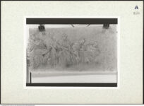 Thumbnail des vierten Ordners