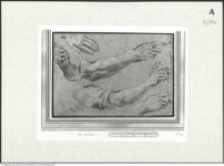 Thumbnail des dritten Ordners