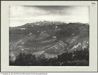 Thumbnail des 12. Ordners