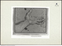 Thumbnail des fünften Ordners