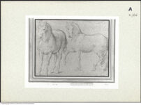 Thumbnail des fünften Ordners