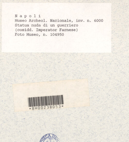 Rückseite von Museo Archeologico Nazionale, Napoli [https://www.deutsche-digitale-bibliothek.de/content/lizenzen/rv-ez/] Gladiator Farnese (oder Imperator Farnese) Kopie nach einer hellenistischen Statue (2. Jh. v. Chr.) - Gesamtansicht, bh441845_recto. Foto.