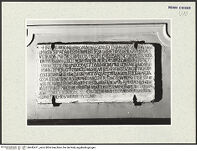 Thumbnail des 7. Ordners