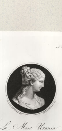 Rückseite von bh442981