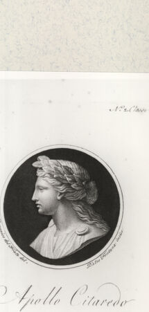 Rückseite von bh443011