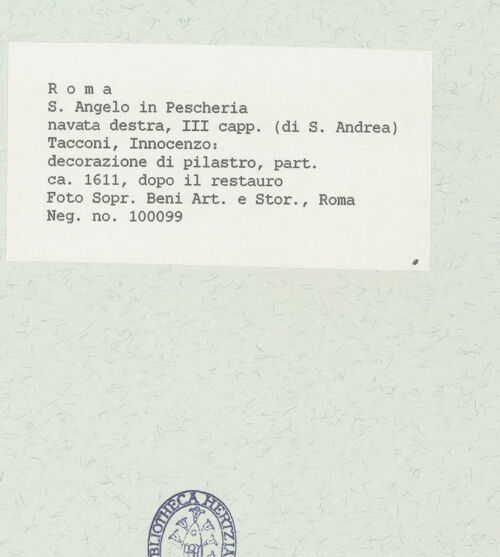 Rückseite von Sopr. BAS ROMA [https://www.deutsche-digitale-bibliothek.de/content/lizenzen/rv-ez/] Wand- und Deckenmalereien in der AndreaskapellePilasterdekoration; Szenen aus dem Leben der Heiligen Franziskus und Franziska; Putti - Pilaster zum Mittelschiff hin links des Kapelleneingangs: Putto, bh444714_recto. Foto.