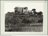 Thumbnail des 10. Ordners