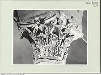 Thumbnail des zweiten Ordners