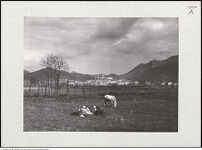 Thumbnail des vierten Ordners