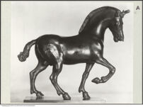 Thumbnail des 10. Ordners