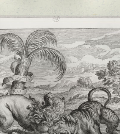 Rückseite von Istituto Nazionale per la Grafica [http://creativecommons.org/publicdomain/mark/1.0/] Allegorie: Ein Kampf zwischen Löwen (Löwe und Tiger?), Kardinalswappen, Palme mit Spruchband "Spe suscitat iras" - , bh460436. Foto.