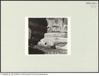 Thumbnail des 8. Ordners