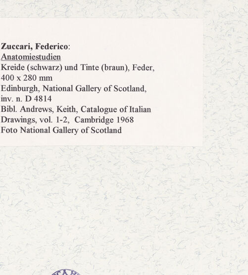 Rückseite von bh462001_recto