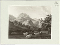 Thumbnail des 9. Ordners