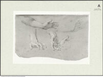 Thumbnail des zweiten Ordners