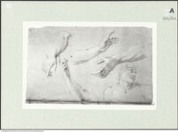 Thumbnail des zweiten Ordners