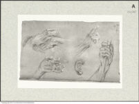 Thumbnail des fünften Ordners