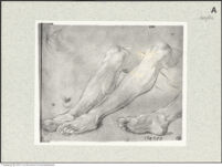 Thumbnail des 6. Ordners