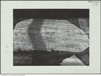 Thumbnail des 9. Ordners