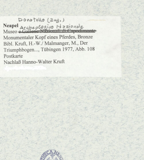 Rückseite von unbekannt [https://www.deutsche-digitale-bibliothek.de/content/lizenzen/rv-ez/] Monumentaler Kopf eines Pferdes (sog. Testa Carafa) - Seitenansicht, bh473642_recto. Foto.