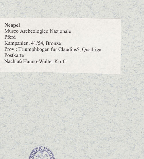 Rückseite von unbekannt [https://www.deutsche-digitale-bibliothek.de/content/lizenzen/rv-ez/] Pferd (Mazzocchipferd oder Cavallo Mazzocchi) - Ansicht von rechts, bh475413_recto. Foto.