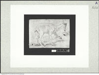 Thumbnail des fünften Ordners