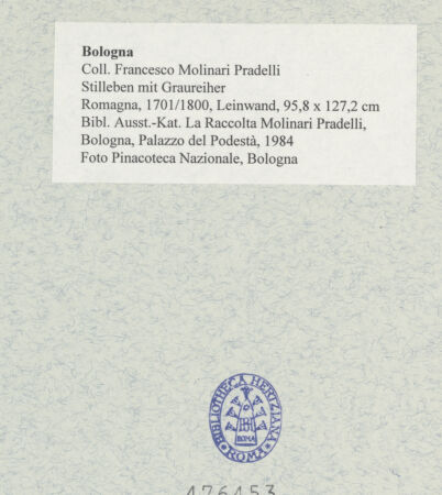 Rückseite von bh476453_recto