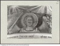 Thumbnail des 11. Ordners