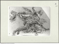 Thumbnail des fünften Ordners