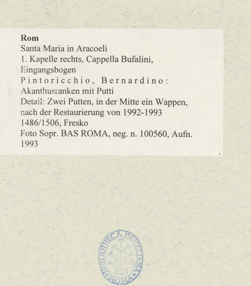 Rückseite von Sopr. BAS ROMA [https://www.deutsche-digitale-bibliothek.de/content/lizenzen/rv-ez/] Szenen aus dem Leben des heiligen Bernhardin von SienaAkanthusranken mit Putti - Detail: Zwei Putten, in der Mitte ein Wappen, nach der Restaurierung, bh485736_recto. Foto.