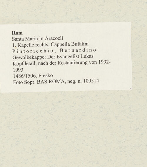 Rückseite von Sopr. BAS ROMA [https://www.deutsche-digitale-bibliothek.de/content/lizenzen/rv-ez/] Szenen aus dem Leben des heiligen Bernhardin von SienaGewölbekappe: Der Evangelist Lukas - Detail, nach der Restaurierung, bh485877_recto. Foto.