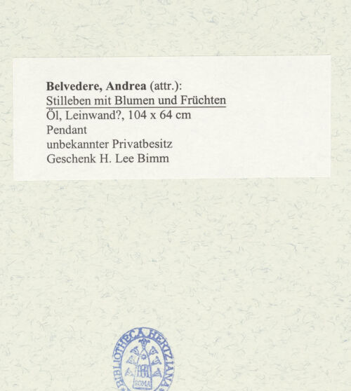 Rückseite von bh489973_recto